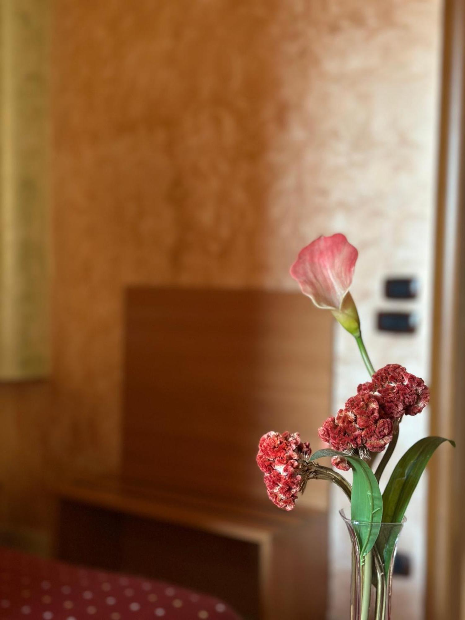 Hotel Il Giardino Degli Aranci Нола Экстерьер фото